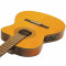 قیمت خرید فروش گیتار کلاسیک  Ibanez GA5TCE AM